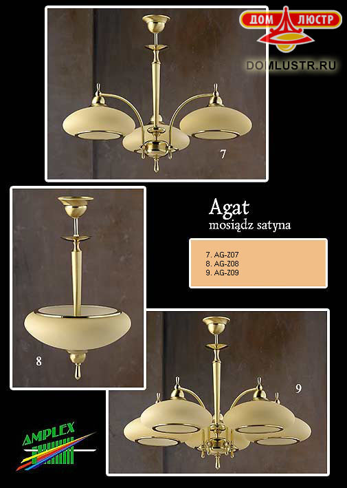 amplex_agat_ms4