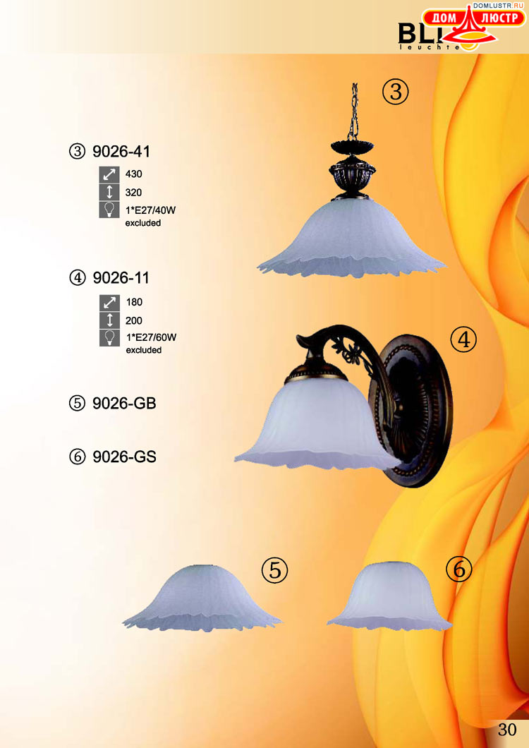 �������� ������ � ����������� Blitz, ���.: 30