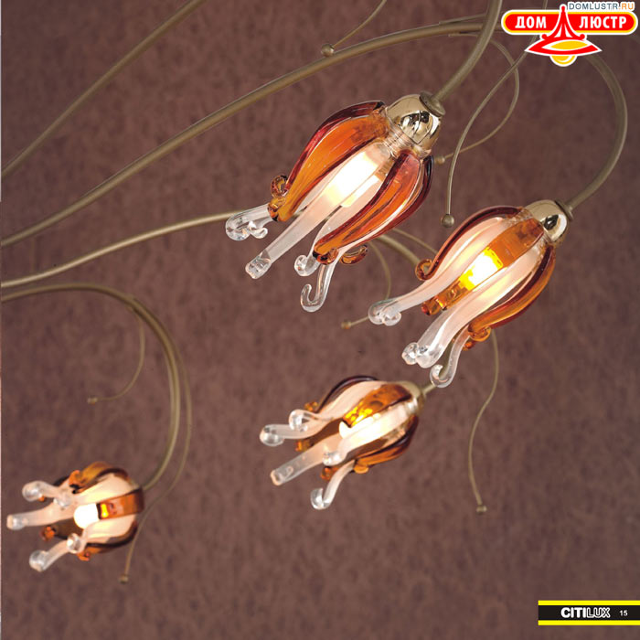 ����������� � ������ ����� - Citilux ���.: 015