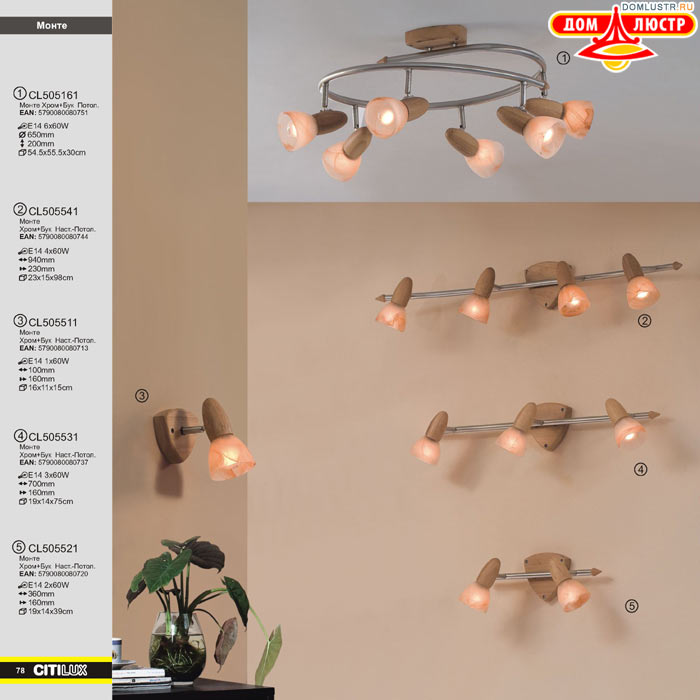 ����������� � ������ ����� - Citilux ���.: 078
