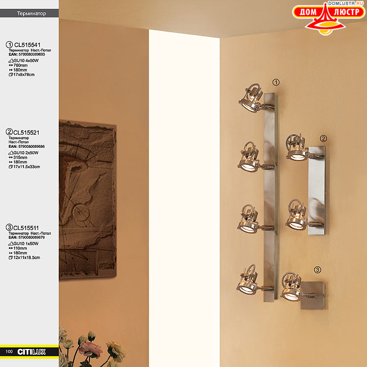Citilux - ������ � ����������� �����, ���.: 100