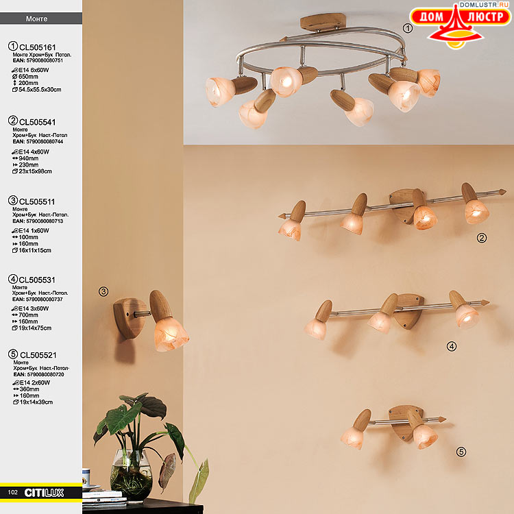 Citilux - ������ � ����������� �����, ���.: 102