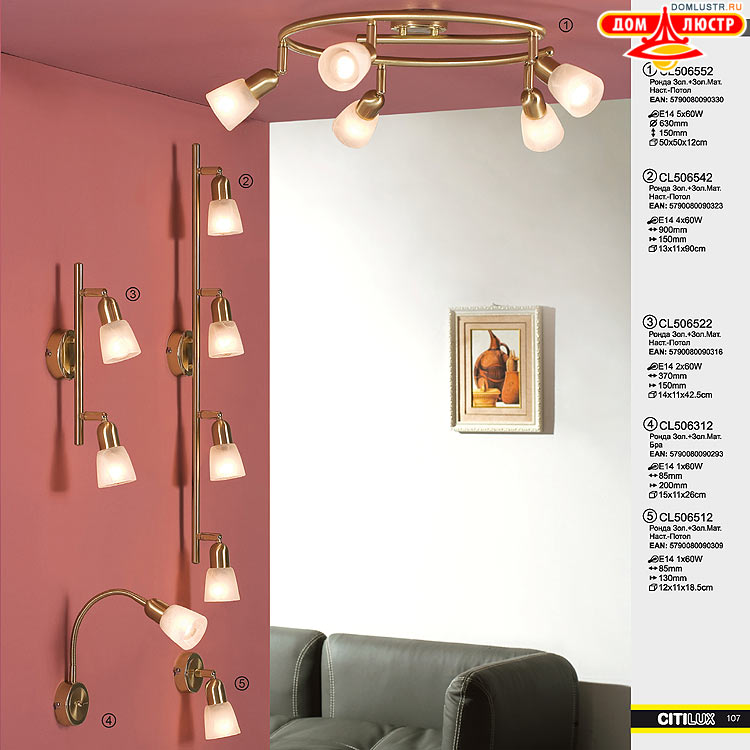 Citilux - ������ � ����������� �����, ���.: 107