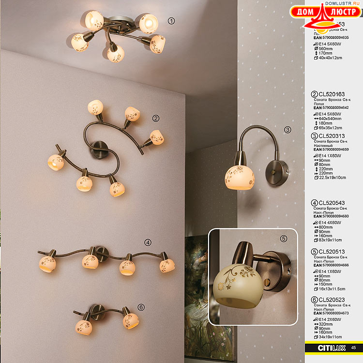 Citilux - ������ � ����������� �����, ���.: 45