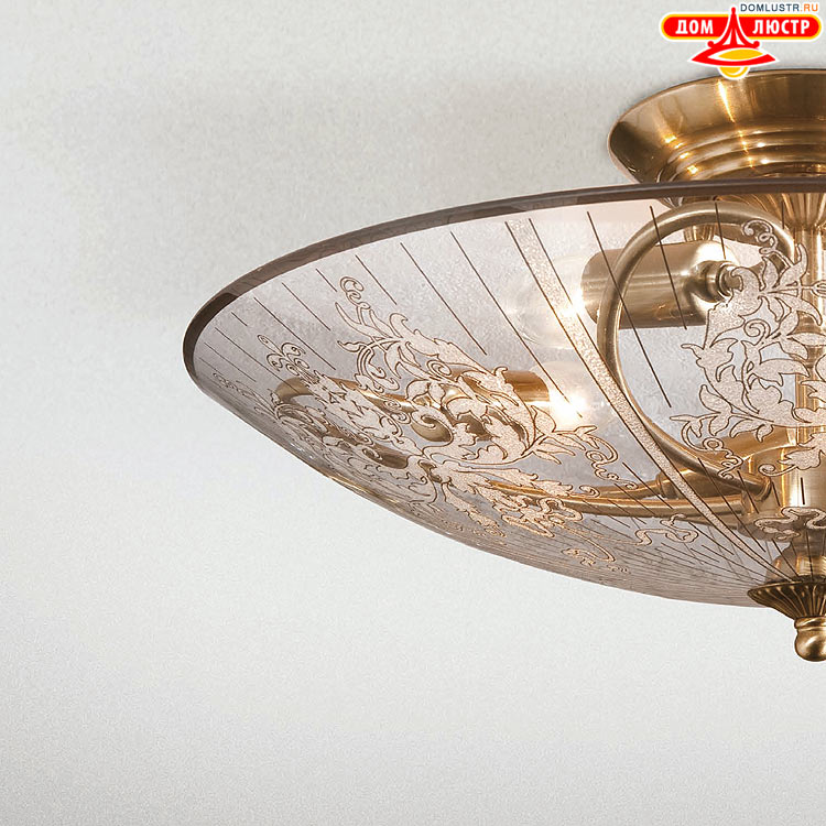 Citilux - ������ � ����������� �����, ���.: 50