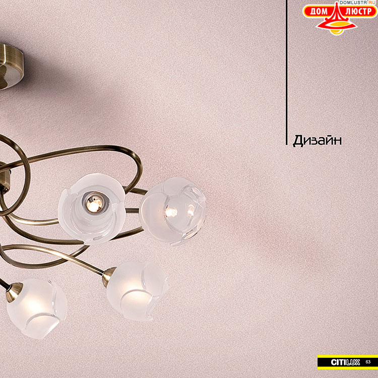 Citilux - ������ � ����������� �����, ���.: 063