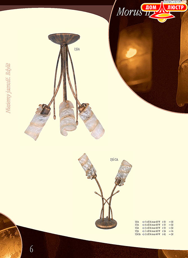 ������ edylit ���.: 006