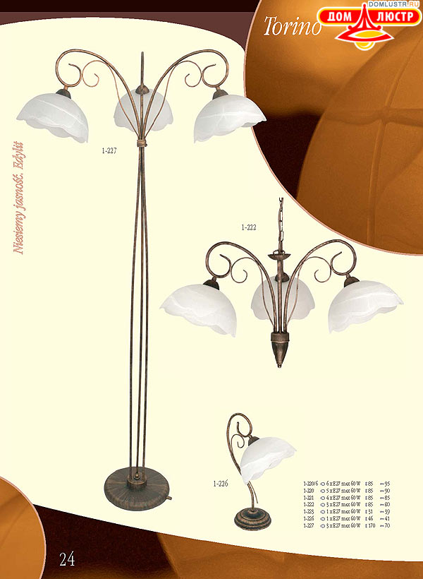 ������ edylit ���.: 024