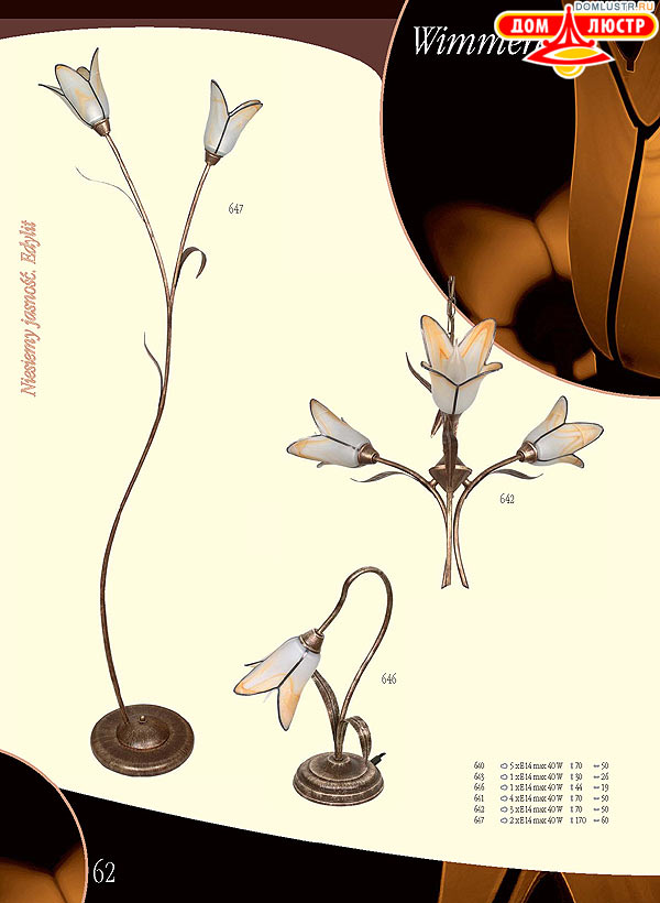 ������ edylit ���.: 062