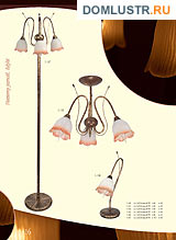  edylit .: 016