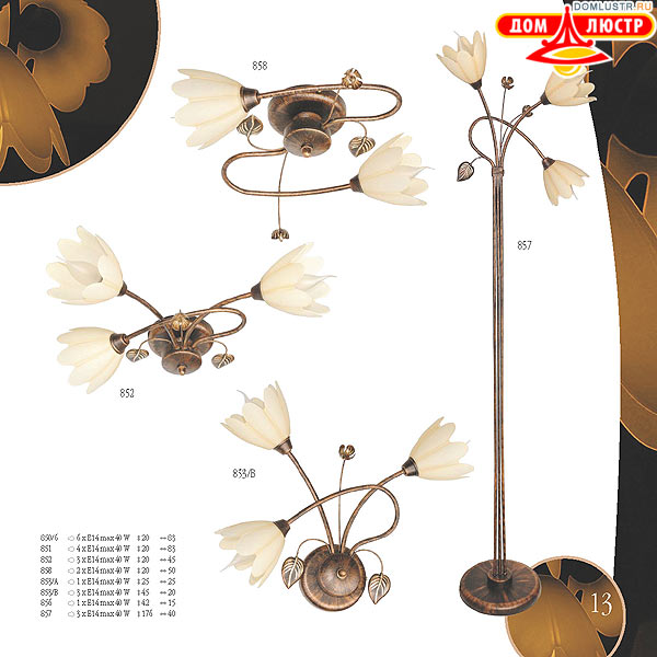 ������ edylit ���.: 013