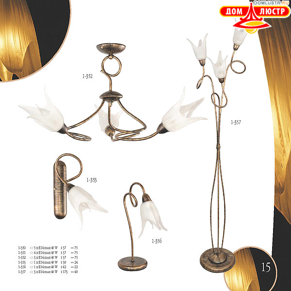 ������ edylit ���.: 015