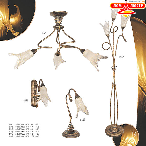 ������ edylit ���.: 019