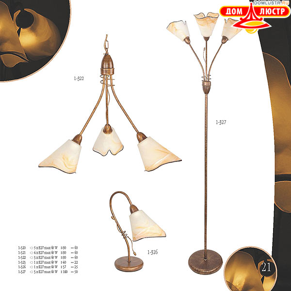 ������ edylit ���.: 021