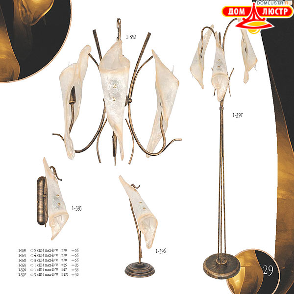 ������ edylit ���.: 029