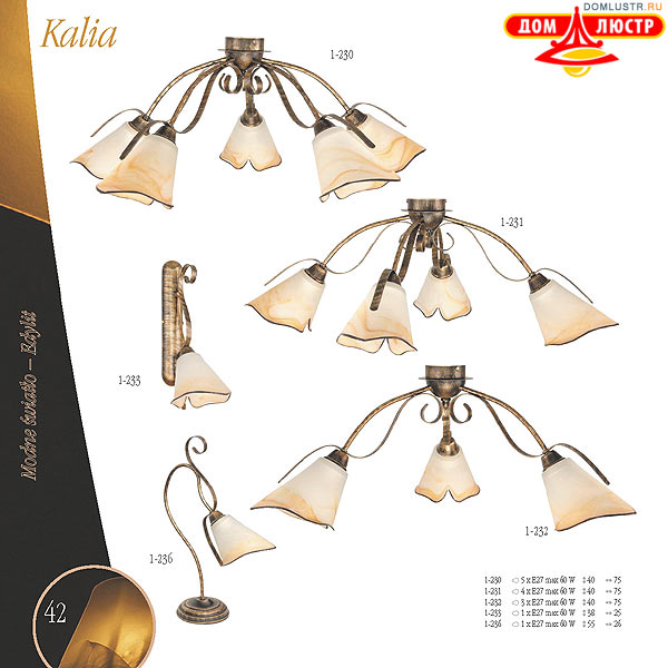 ������ edylit ���.: 042