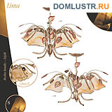 ������ edylit ���.: 008