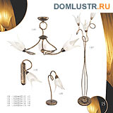 ������ edylit ���.: 015