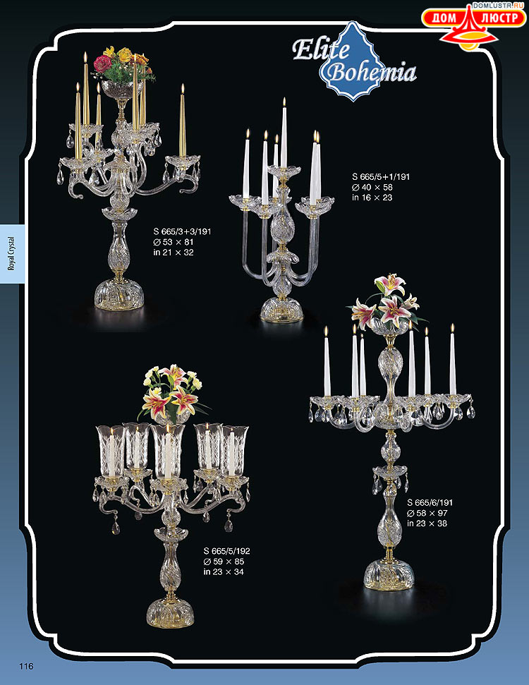 ������� ����������� ������ Elite Bohemia (���� �������), ���.: 116