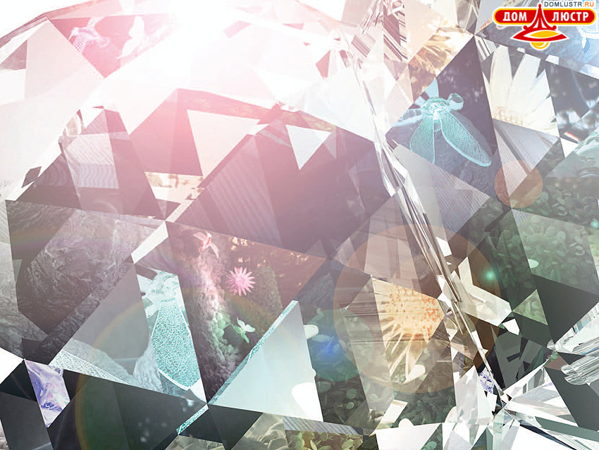 Globo - ������ � �����������, ���.: 458