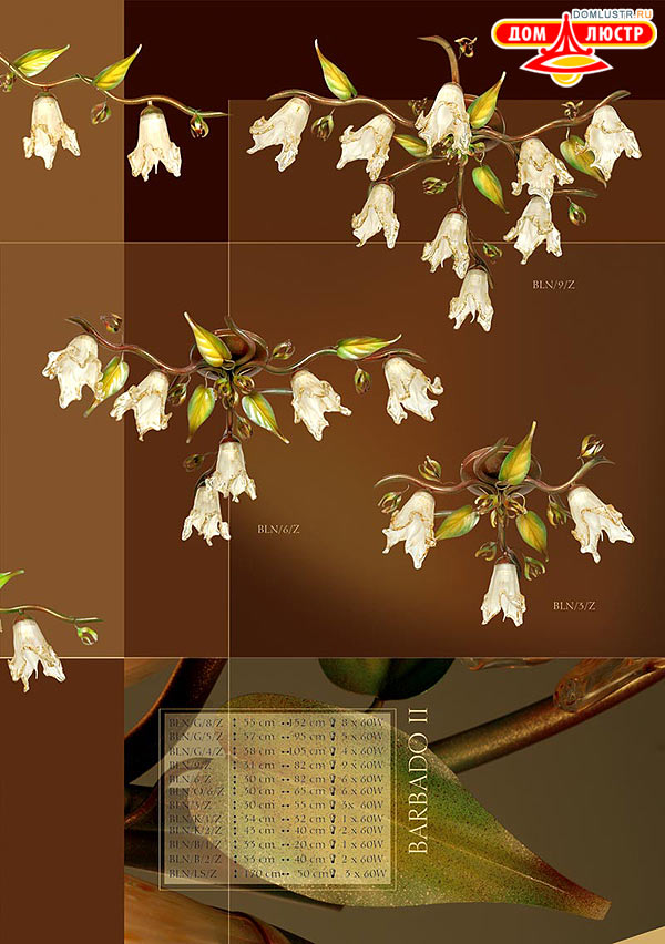 kemar ���.: 61_barbado_2