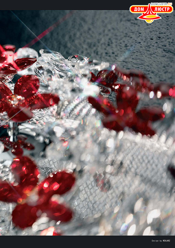 ������ ����������� Kolarz ���.: 221