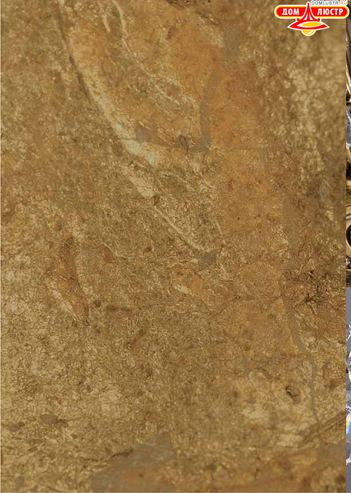 ������ � ����������� La Lampada, ���.: 004