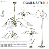   Luminex .: 12