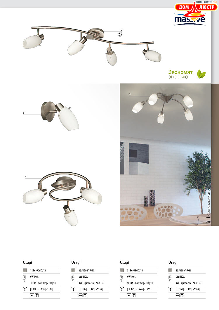 ����������� ������� - Massive, ���.: 239