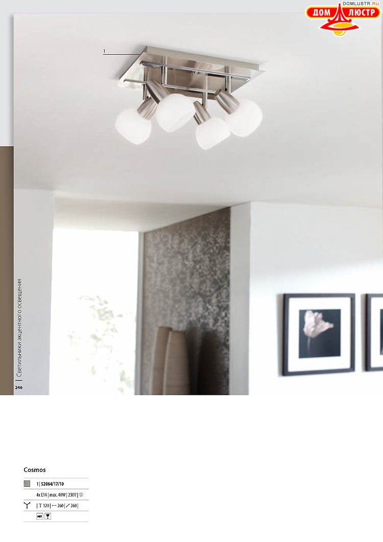 ����������� ������� - Massive, ���.: 246