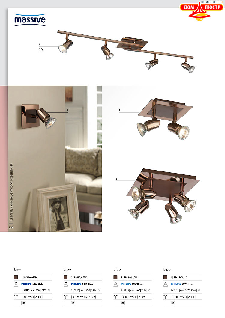 ����������� ������� - Massive, ���.: 258