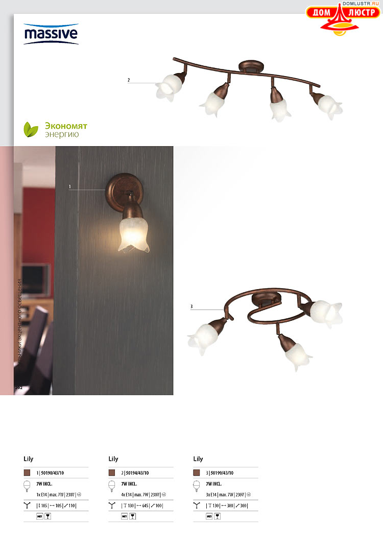 ����������� ������� - Massive, ���.: 262