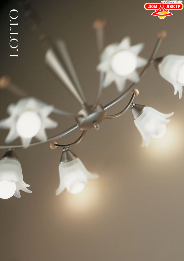 ������ � ����������� Metallux - ������; ���.: 52