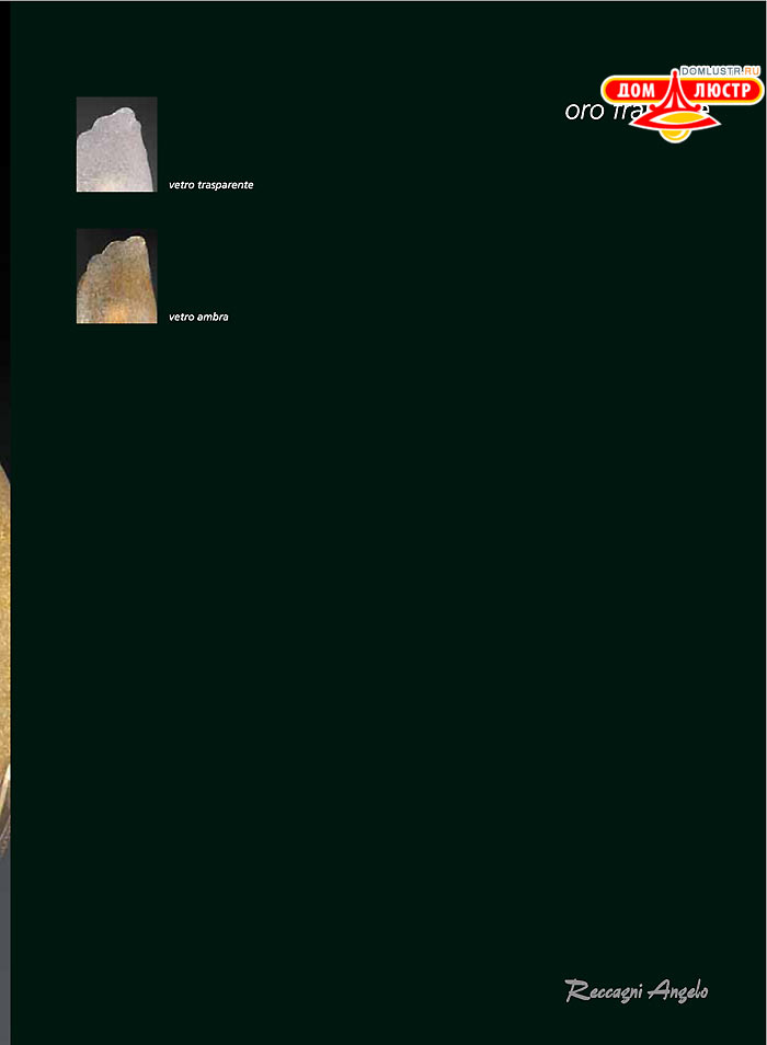 ������ � ����������� Reccagni Angelo, ���.: 003