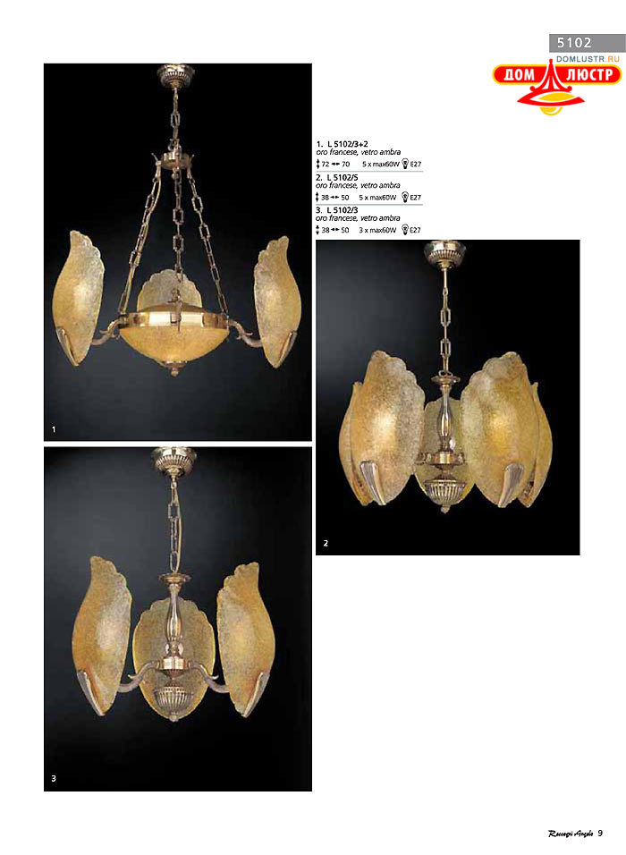 ������ � ����������� Reccagni Angelo, ���.: 009