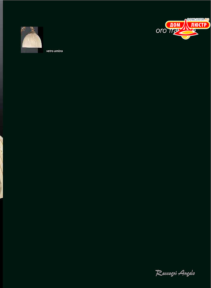 ������ � ����������� Reccagni Angelo, ���.: 101