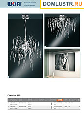 Wofi -    , .: 025