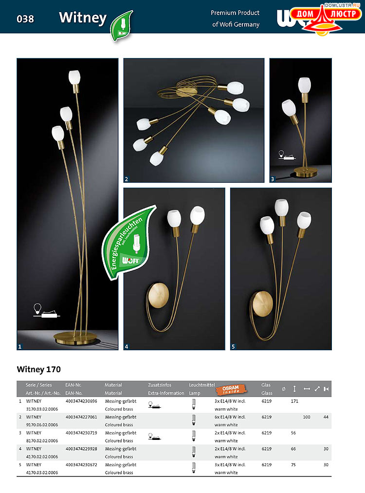 Wofi - ������ � ����������� ��������, ���.: 38